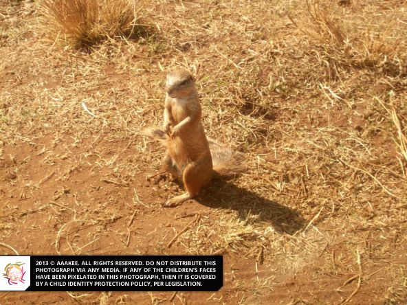  - Day Trip to the Rhino & Lion Nature Reserve (Catherine Robson Children's Home)