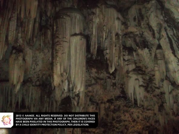  - Day Trip to the Rhino & Lion Nature Reserve (Catherine Robson Children's Home)